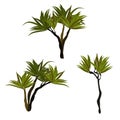 Prehistoric flora. Palm. Mesozoic or Paleozoic. Vector illustration